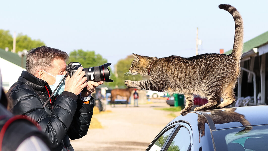Cat and Pat.jpg